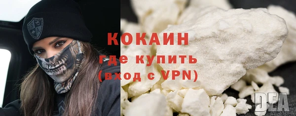 хмурый Верея